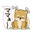 柴犬 2025 「犬の気持ち」（個別スタンプ：35）