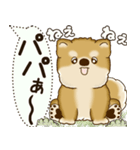 柴犬 2025 「犬の気持ち」（個別スタンプ：36）