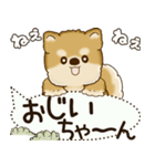 柴犬 2025 「犬の気持ち」（個別スタンプ：37）