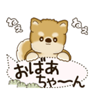 柴犬 2025 「犬の気持ち」（個別スタンプ：38）