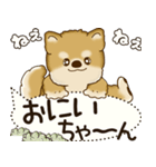 柴犬 2025 「犬の気持ち」（個別スタンプ：39）