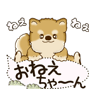 柴犬 2025 「犬の気持ち」（個別スタンプ：40）