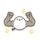 まんまるシマちゃん♪文字なし（個別スタンプ：29）