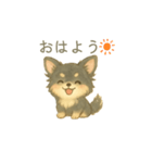 チワワのコテツさん(イラストVer.4)（個別スタンプ：1）