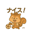 スポりすの毎日スタンプ（個別スタンプ：10）