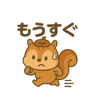スポりすの毎日スタンプ（個別スタンプ：11）
