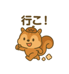 スポりすの毎日スタンプ（個別スタンプ：12）