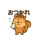 スポりすの毎日スタンプ（個別スタンプ：15）