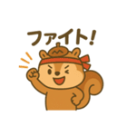 スポりすの毎日スタンプ（個別スタンプ：31）