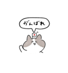 ゆるいおはなしねこ -日常-（個別スタンプ：7）