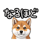 色んな柴犬関西弁のスタンプ（個別スタンプ：5）