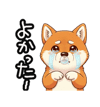 色んな柴犬関西弁のスタンプ（個別スタンプ：11）