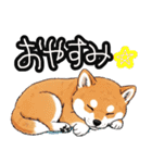 色んな柴犬関西弁のスタンプ（個別スタンプ：13）