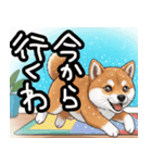 色んな柴犬関西弁のスタンプ（個別スタンプ：33）