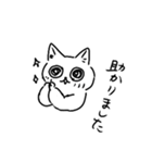 明るい猫4（敬語）（個別スタンプ：24）