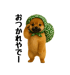 どろぼう顔のポメラニアン（個別スタンプ：2）