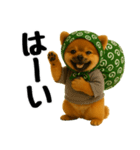 どろぼう顔のポメラニアン（個別スタンプ：3）