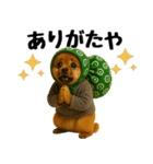どろぼう顔のポメラニアン（個別スタンプ：7）