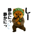 どろぼう顔のポメラニアン（個別スタンプ：9）
