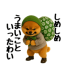 どろぼう顔のポメラニアン（個別スタンプ：11）