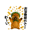 どろぼう顔のポメラニアン（個別スタンプ：16）