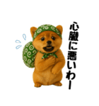 どろぼう顔のポメラニアン（個別スタンプ：19）