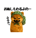 どろぼう顔のポメラニアン（個別スタンプ：22）
