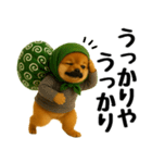 どろぼう顔のポメラニアン（個別スタンプ：29）