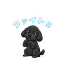 トイプードル（黒）の生活（個別スタンプ：2）