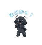 トイプードル（黒）の生活（個別スタンプ：4）