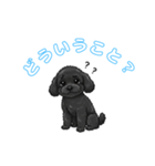 トイプードル（黒）の生活（個別スタンプ：5）
