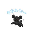 トイプードル（黒）の生活（個別スタンプ：7）