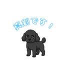 トイプードル（黒）の生活（個別スタンプ：8）