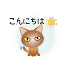 色々な猫10-1 短毛-立ち耳-茶（個別スタンプ：5）