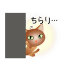 色々な猫10-1 短毛-立ち耳-茶（個別スタンプ：6）