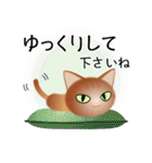 色々な猫10-1 短毛-立ち耳-茶（個別スタンプ：12）