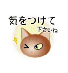 色々な猫10-1 短毛-立ち耳-茶（個別スタンプ：14）