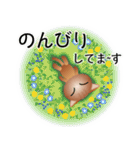 色々な猫10-1 短毛-立ち耳-茶（個別スタンプ：19）