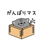 にゃむ猫ちゃぽ敬語で日常会話（個別スタンプ：11）