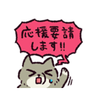 チベスナ警察24時（個別スタンプ：26）
