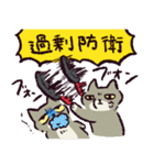 チベスナ警察24時（個別スタンプ：34）