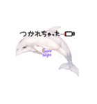 guitar2221（個別スタンプ：6）
