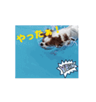 キャバリア 動クル ③（個別スタンプ：9）