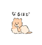 うちの家には犬がいるvol.2（個別スタンプ：8）