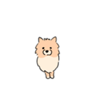 うちの家には犬がいるvol.2（個別スタンプ：9）