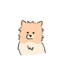 うちの家には犬がいるvol.2（個別スタンプ：10）