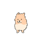 うちの家には犬がいるvol.2（個別スタンプ：11）