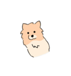 うちの家には犬がいるvol.2（個別スタンプ：12）