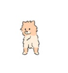 うちの家には犬がいるvol.2（個別スタンプ：13）