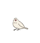 うちの家には犬がいるvol.2（個別スタンプ：15）